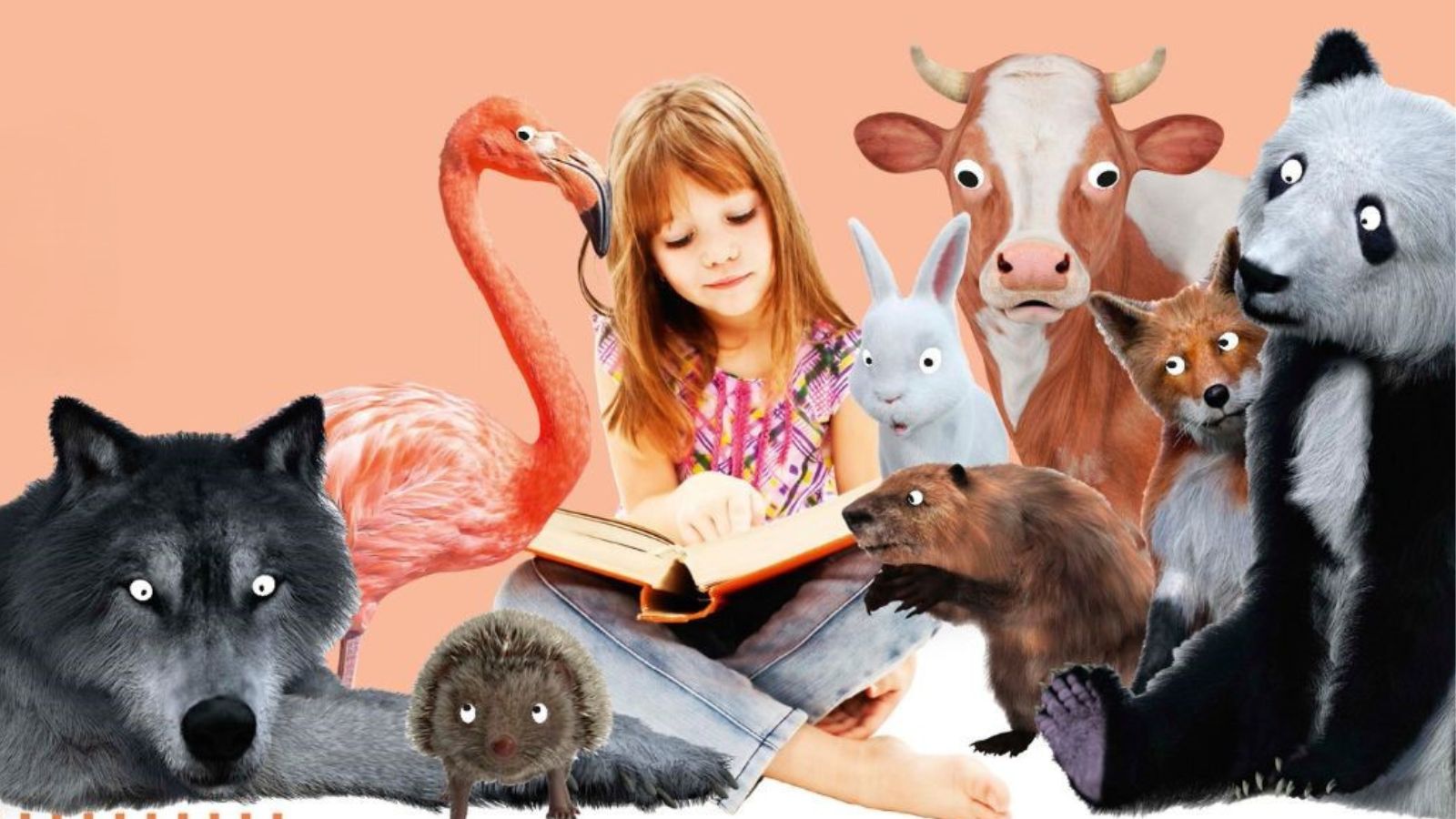 L'été des bibliothèques 2025