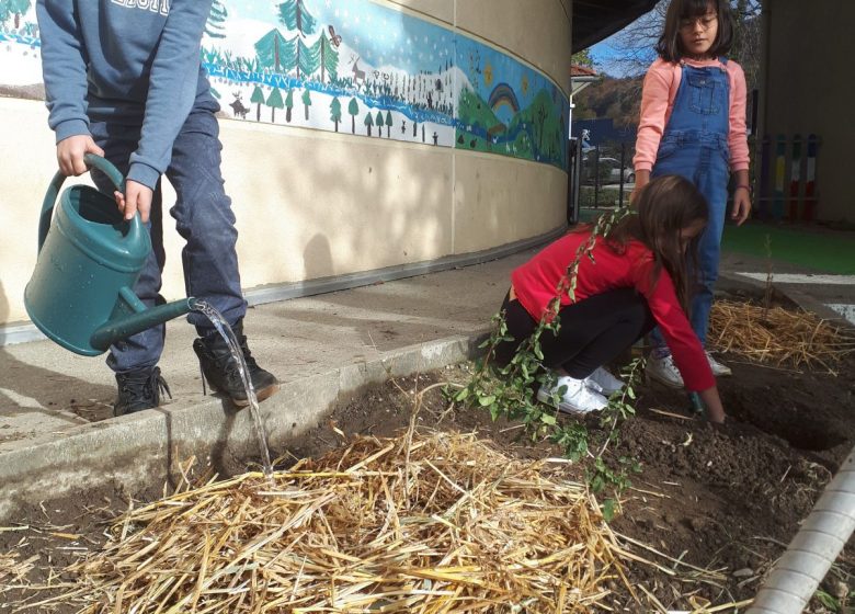 Plantation d’arbres, arbustes et création de potagers