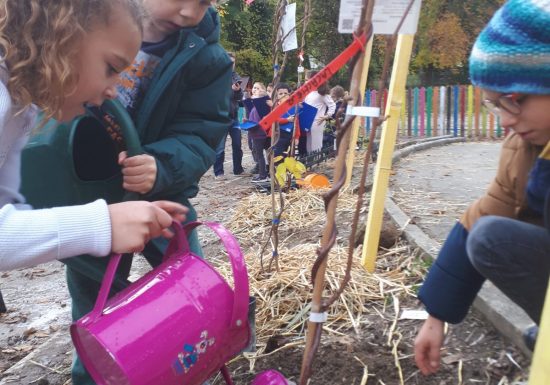 Plantation d’arbres, arbustes et création de potagers