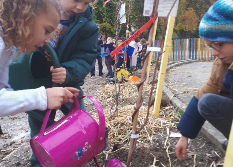 Plantation d’arbres, arbustes et création de potagers
