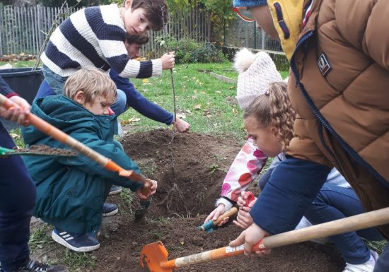 Plantation d’arbres, arbustes et création de potagers