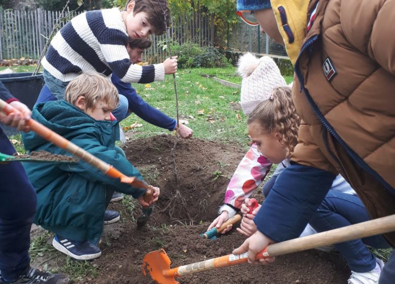 Plantation d’arbres, arbustes et création de potagers