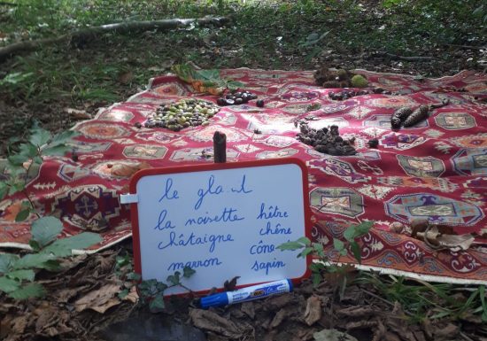 Découverte de la faune et de la flore