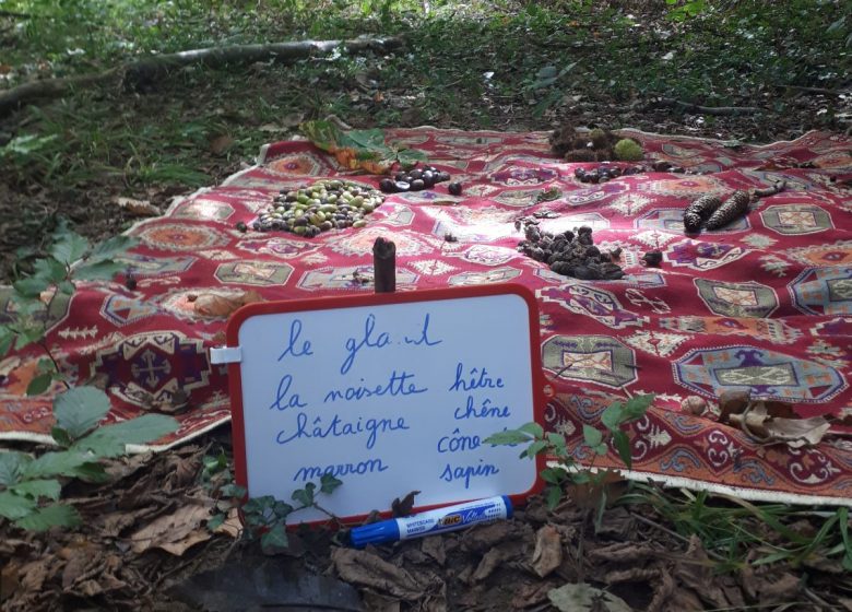 Découverte de la faune et de la flore