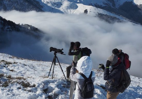 Découverte de la faune et de la flore