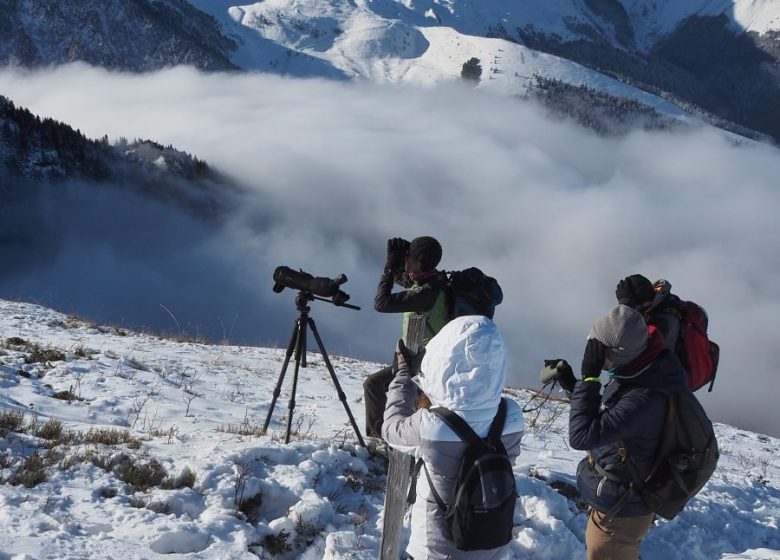 Découverte de la faune et de la flore