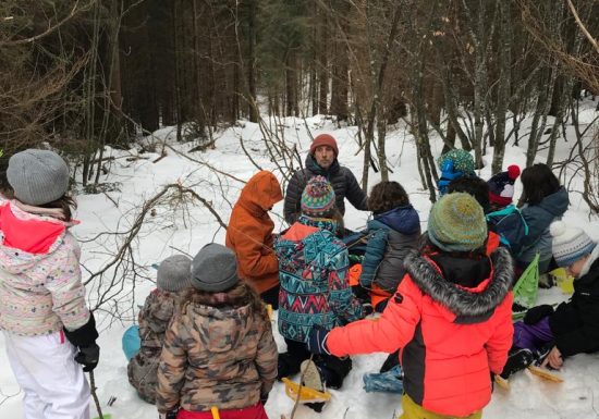 Découverte de la faune et de la flore
