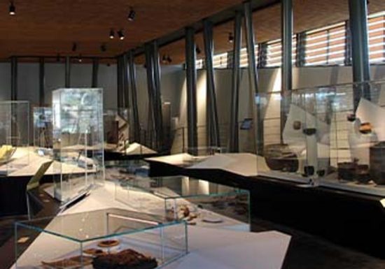 Visite guidée régulière des collections du MALP