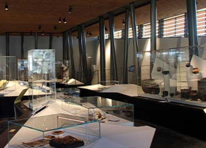 Visite guidée régulière des collections du MALP