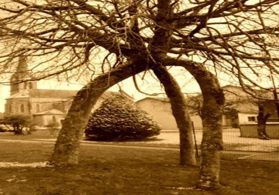 Atelier de généalogie