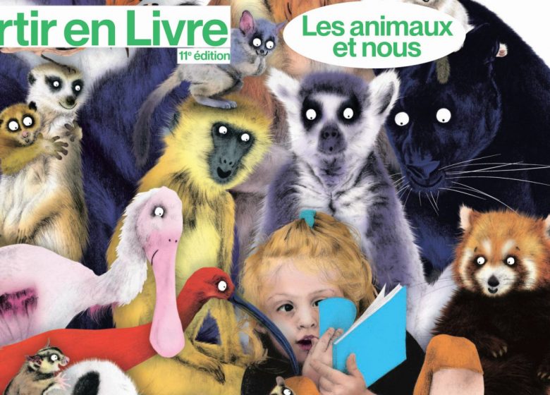 Jeu de piste : Les animaux défient les pirates !