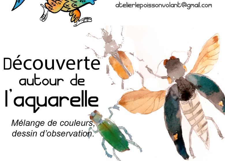 Stage découverte autour de l’aquarelle