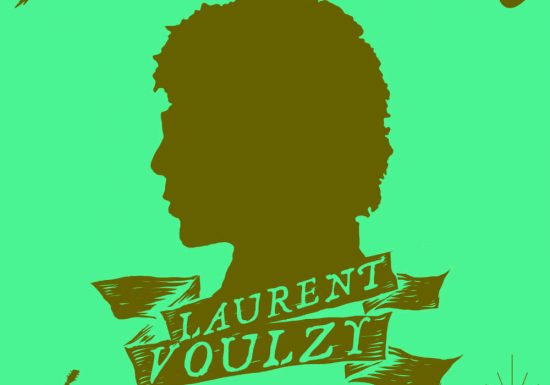 Laurent Voulzy en concert