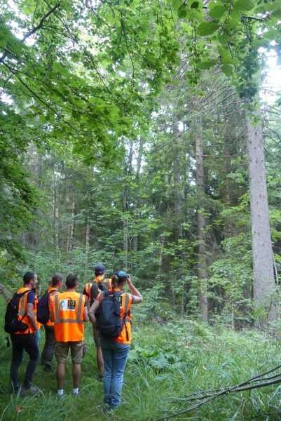 À La découverte de l’AOC bois de Chartreuse : De la forêt à la construction bois
