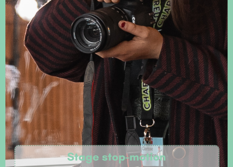 Complet – Stage : Animer un album en stop motion