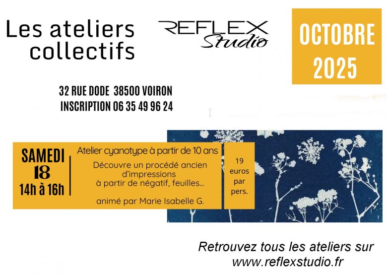 Atelier : Cyanotype