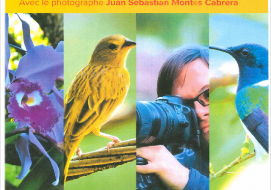 Exposition photographique : Colombie en vol