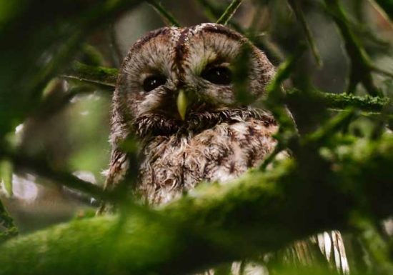 Projection du film : Un autre regard