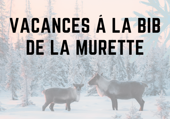 Lecture : Les animaux en hiver