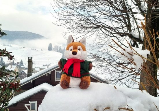 Les histoires de Rudy