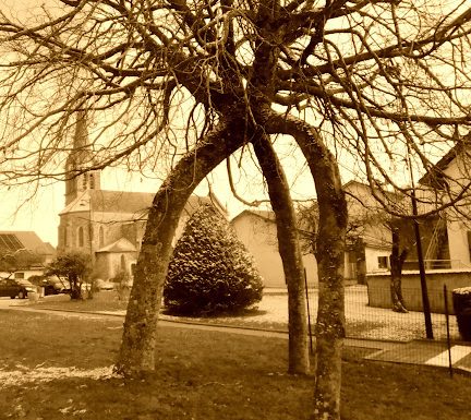 Atelier de généalogie