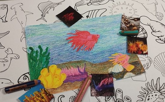 Atelier de Lulu : Créatures aquatiques