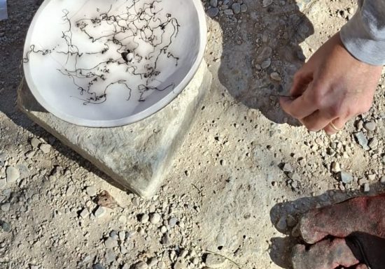 Atelier terre : réalisation d&rsquo;une chimère