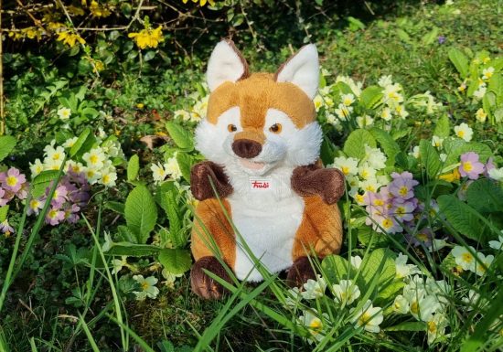 Les histoires de Rudy