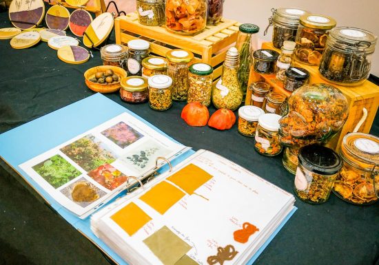 Atelier : Les  encres végétales et leurs utilisations