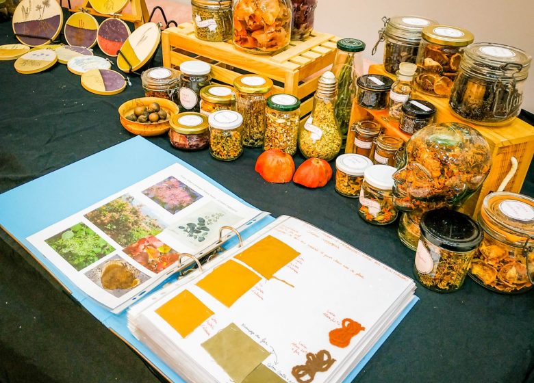 Atelier : Les  encres végétales et leurs utilisations