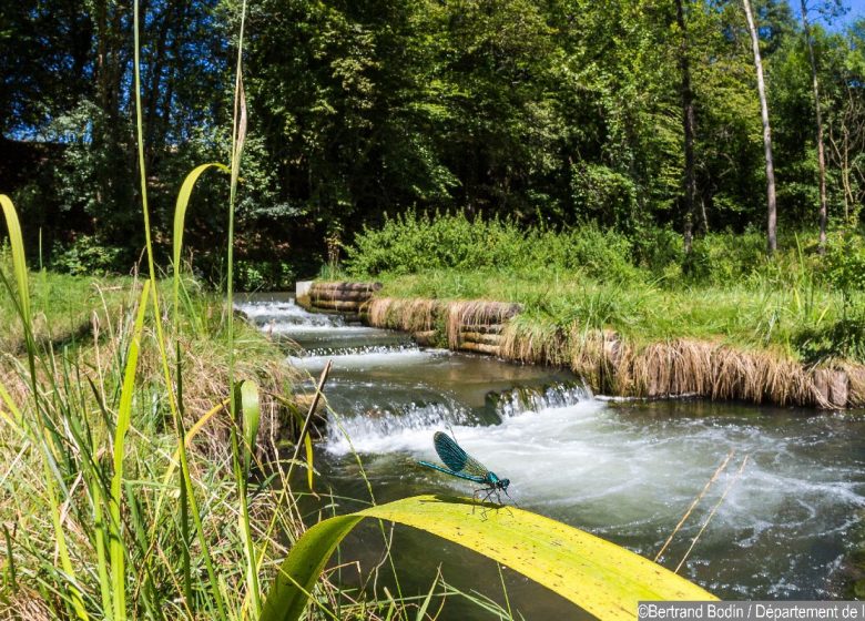 Histoire de l&rsquo;étang de Cote Manin entre nature et passé industriel