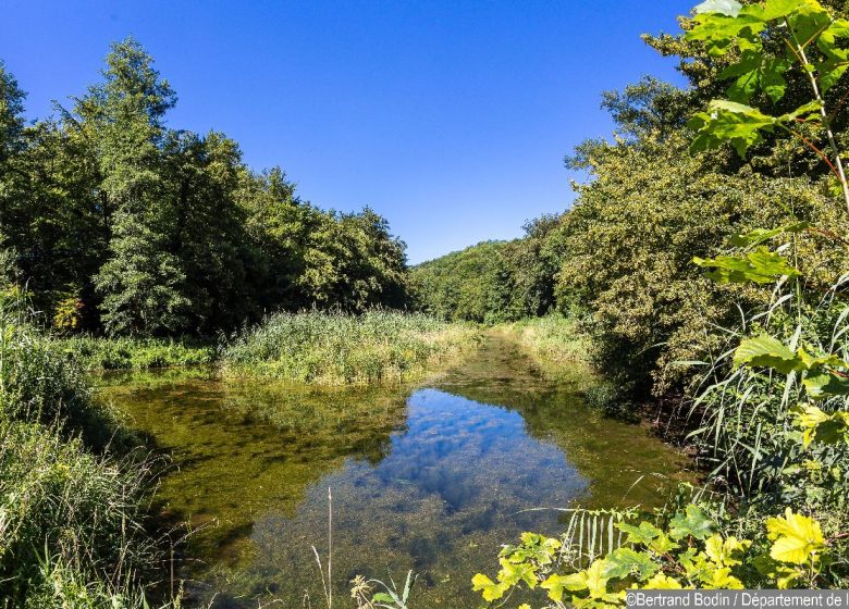Histoire de l&rsquo;étang de Cote Manin entre nature et passé industriel