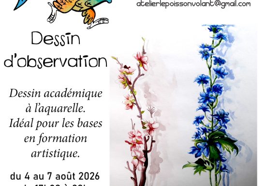 Stage dessin d&rsquo;observation académique