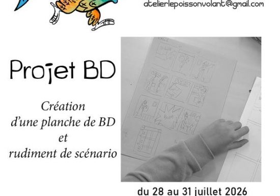 Stage dessin projet BD