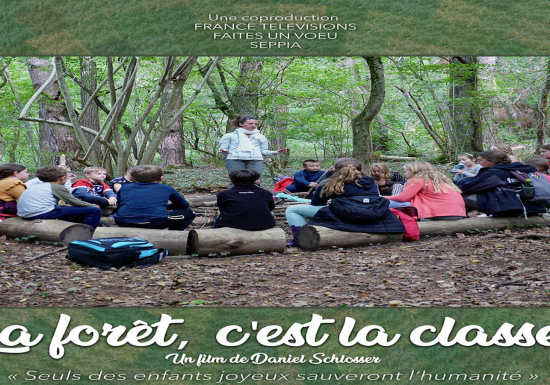 Projection : La Forêt c&rsquo;est la classe