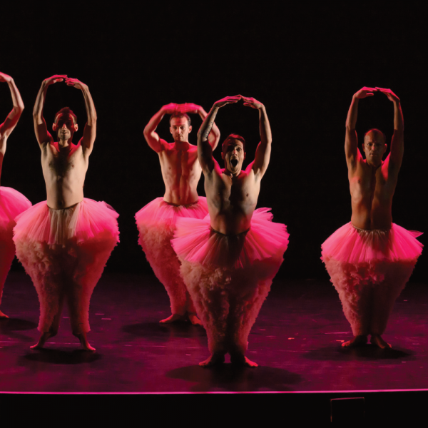 Danse : Tutu – Chicos mambo