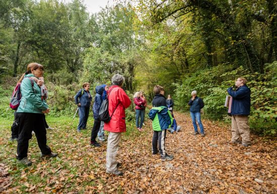 Balade : à la découverte de la forêt autour du lac de Paladru, d&rsquo;hier à aujourd&rsquo;hui