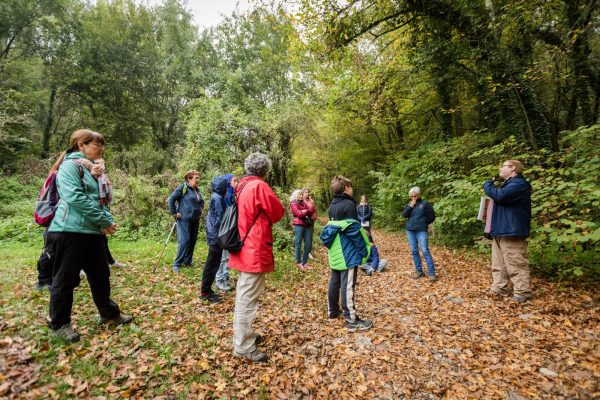 Balade : à la découverte de la forêt autour du lac de Paladru, d&rsquo;hier à aujourd&rsquo;hui
