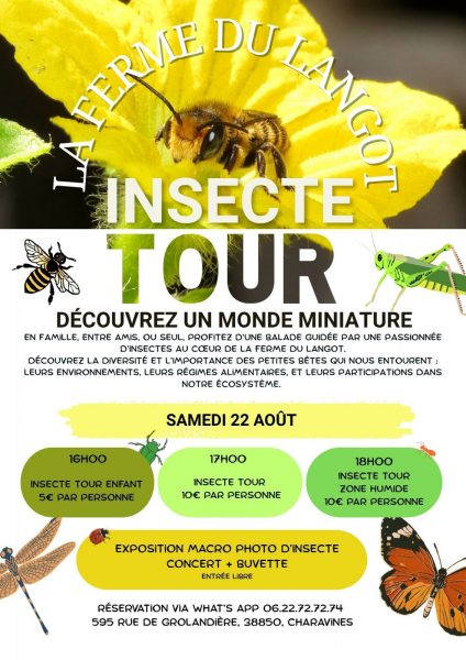 Insecte Tour