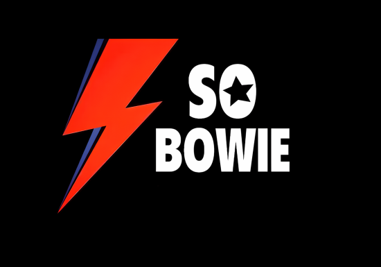 Concert : So Bowie