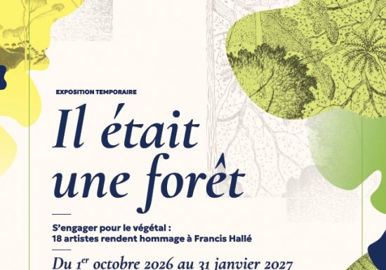 Exposition sur les forêts primaires : Il était une forêt