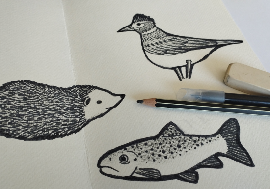 COMPLET – Prologue : Atelier « Plumes, poils et écailles » à Voiron