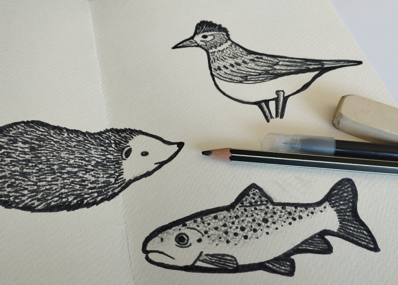 COMPLET – Prologue : Atelier « Plumes, poils et écailles » à Voiron