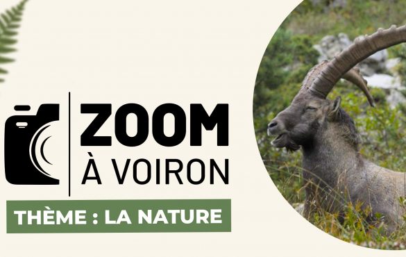 Appel à photographes – Zoom à Voiron