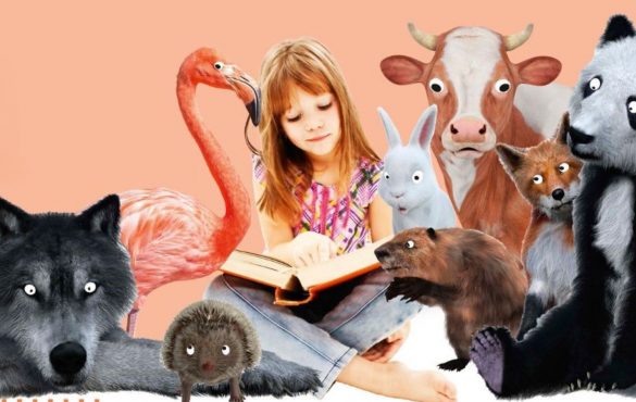 L’été des bibliothèques