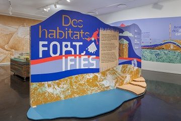 Visite guidée de l’exposition « Fortifications »