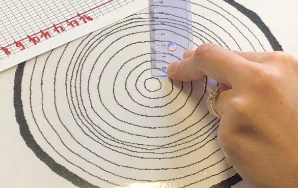 La Fête de la Science en Pays voironnais