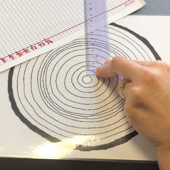 La Fête de la Science en Pays voironnais