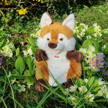 Les histoires de Rudy