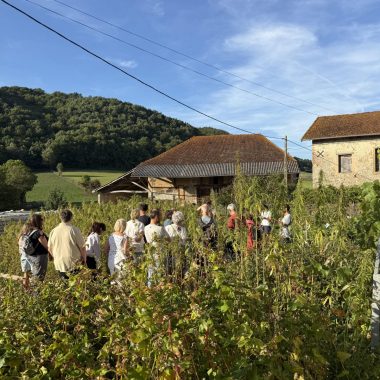 Animation nature : Secrets de plantes